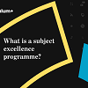 What is a subject excellence programme?